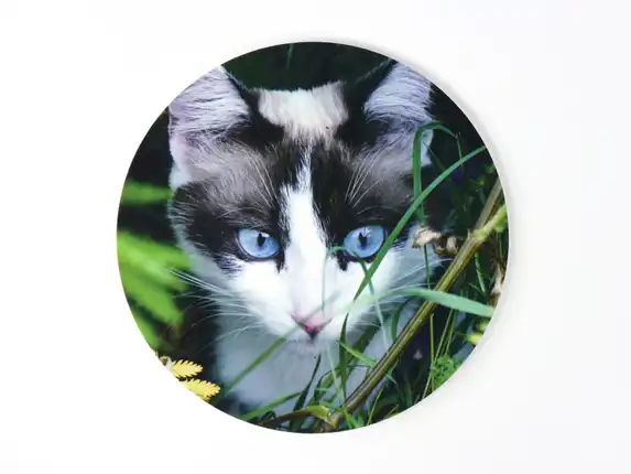 Foto geprint op een cirkel