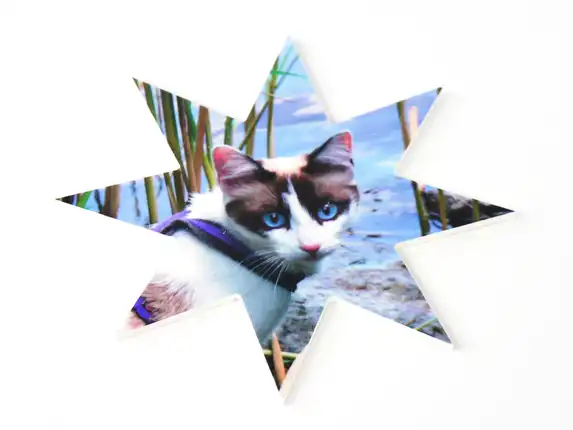 Foto geprint op een octagram