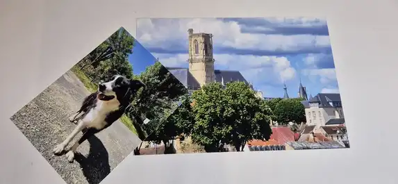 Fotogeschenk fotovergrotingen op stevig papier met diepe kleuren en snelle levering.