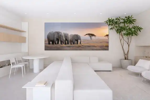 Grootformaat plexiglasfoto in woonkamer, we brengen alles groter dan 80x100cm met onze eigen chauffeurs op afspraak (Nl en BE).