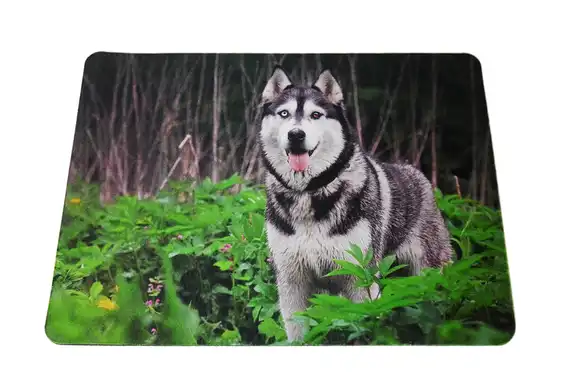 Placemat met foto bedrukt, haarscherp en kleurecht. Afmeting 26,5 x 38,2 cm.